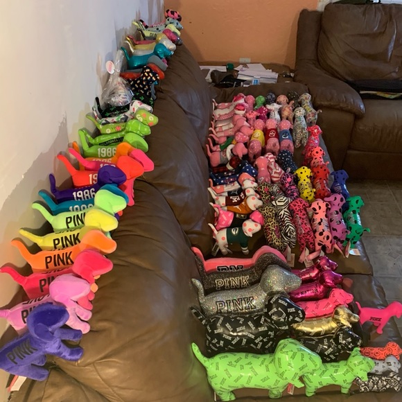 Meet your Posher, Savannah - Picture 2 of 8